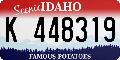 ID license plate K448319