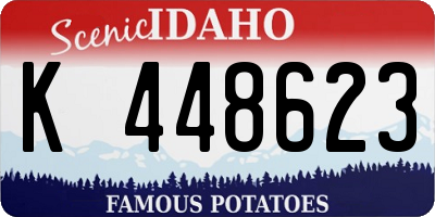 ID license plate K448623