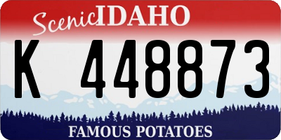 ID license plate K448873