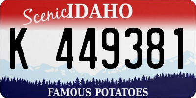 ID license plate K449381