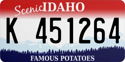 ID license plate K451264