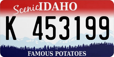 ID license plate K453199