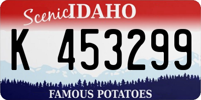 ID license plate K453299