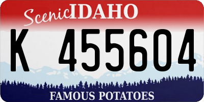 ID license plate K455604