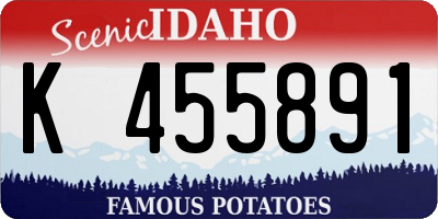ID license plate K455891