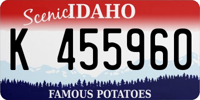 ID license plate K455960