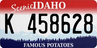ID license plate K458628