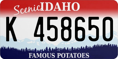 ID license plate K458650