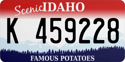 ID license plate K459228