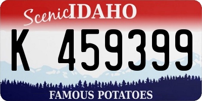 ID license plate K459399