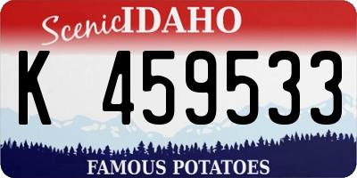 ID license plate K459533