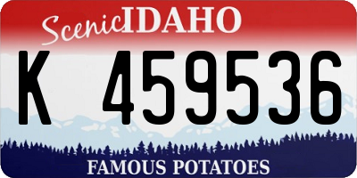 ID license plate K459536