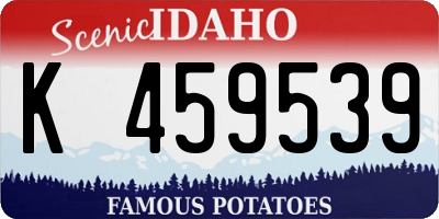 ID license plate K459539