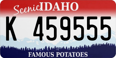 ID license plate K459555