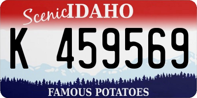 ID license plate K459569