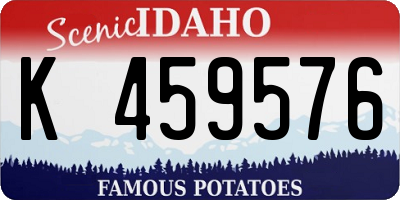 ID license plate K459576