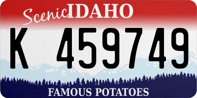 ID license plate K459749