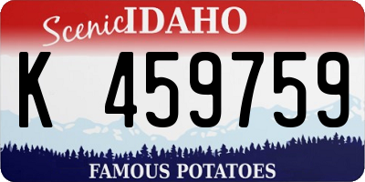 ID license plate K459759