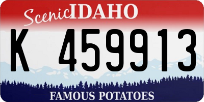 ID license plate K459913