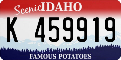 ID license plate K459919