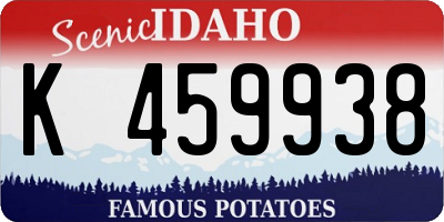 ID license plate K459938
