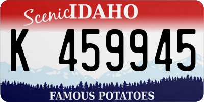 ID license plate K459945