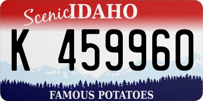 ID license plate K459960