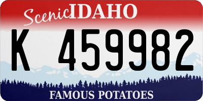 ID license plate K459982