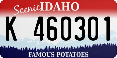 ID license plate K460301