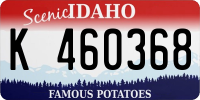 ID license plate K460368