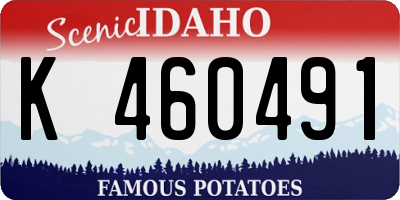ID license plate K460491