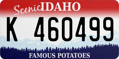 ID license plate K460499