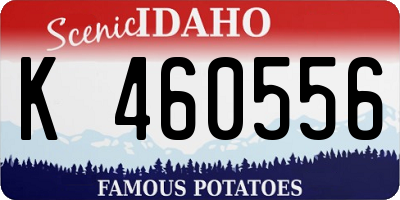 ID license plate K460556