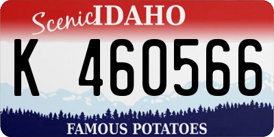 ID license plate K460566