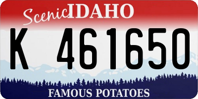 ID license plate K461650