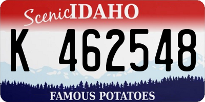 ID license plate K462548