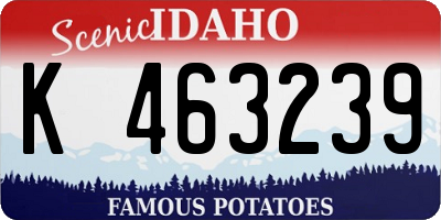 ID license plate K463239