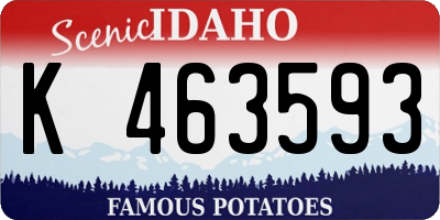 ID license plate K463593
