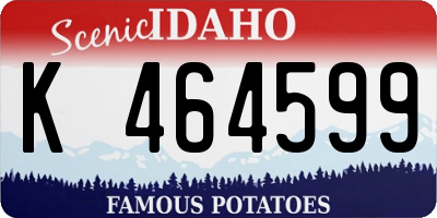 ID license plate K464599
