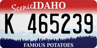 ID license plate K465239
