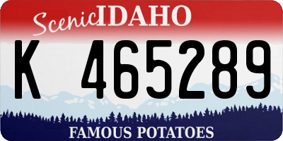 ID license plate K465289