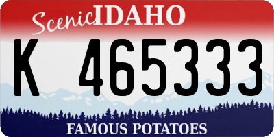 ID license plate K465333