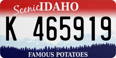 ID license plate K465919