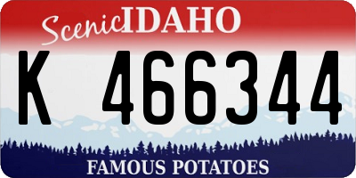 ID license plate K466344