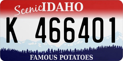 ID license plate K466401