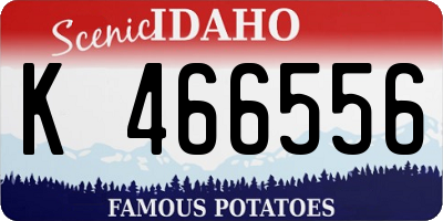 ID license plate K466556