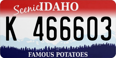 ID license plate K466603