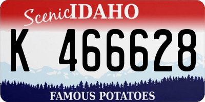 ID license plate K466628