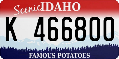 ID license plate K466800