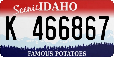 ID license plate K466867